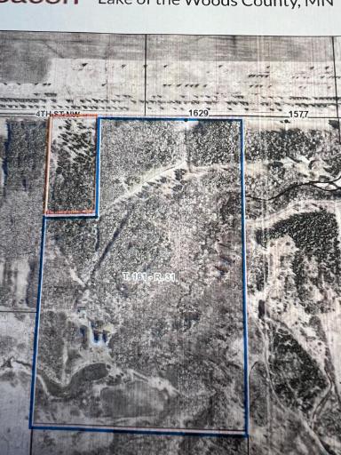 Ariel map 55 acres.jpeg