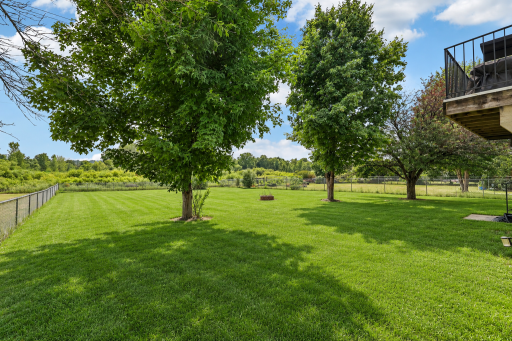 X-Large Backyard