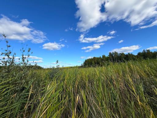 12084 County Road 144, Brainerd, MN 56401