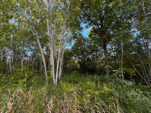12084 County Road 144, Brainerd, MN 56401