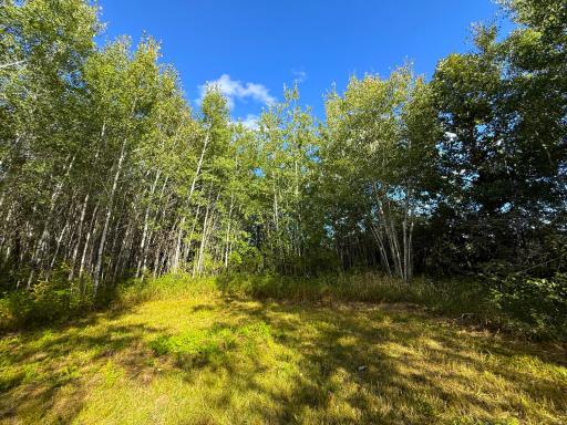 12084 County Road 144, Brainerd, MN 56401