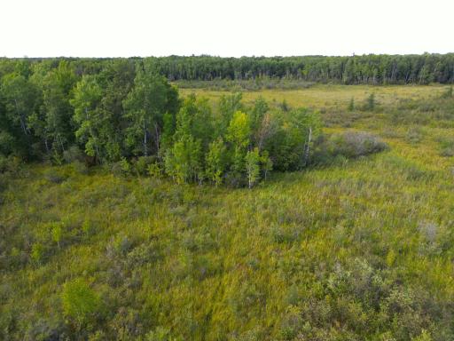 12084 County Road 144, Brainerd, MN 56401