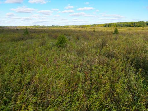 12084 County Road 144, Brainerd, MN 56401