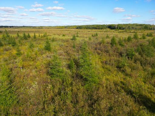 12084 County Road 144, Brainerd, MN 56401