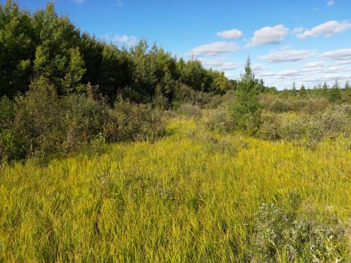 12084 County Road 144, Brainerd, MN 56401