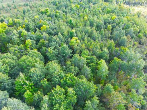 12084 County Road 144, Brainerd, MN 56401
