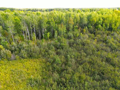 12084 County Road 144, Brainerd, MN 56401