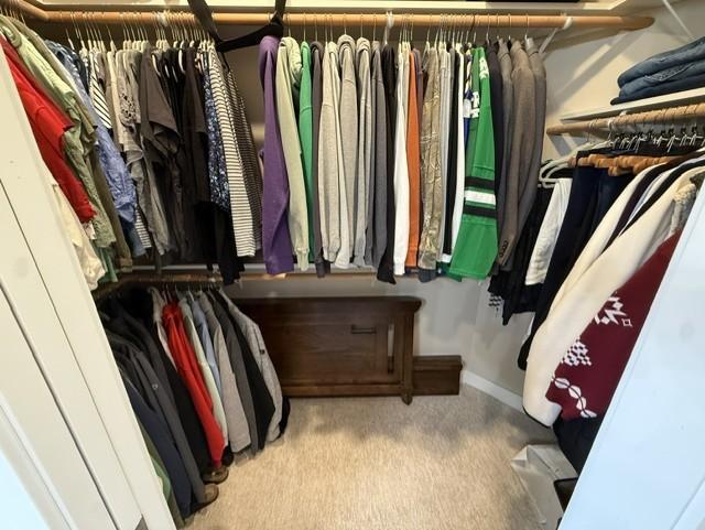 Mstr walk-in closet