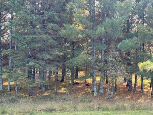 52855 145th Place, Tamarack, MN 55787