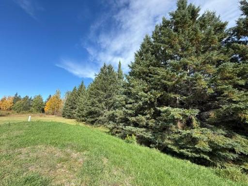 52855 145th Place, Tamarack, MN 55787