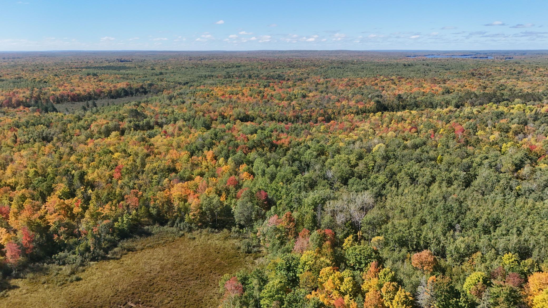 DJI_20260923120200_0007_D (1).jpg