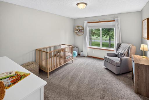 137 6th Street SW, Delano, MN 55328
