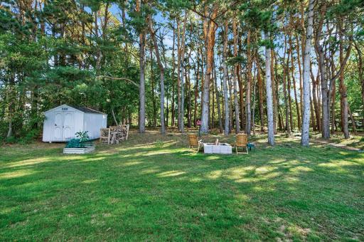 Mature trees and a backyard shed add to the property's storage, privacy, and up-north feel.