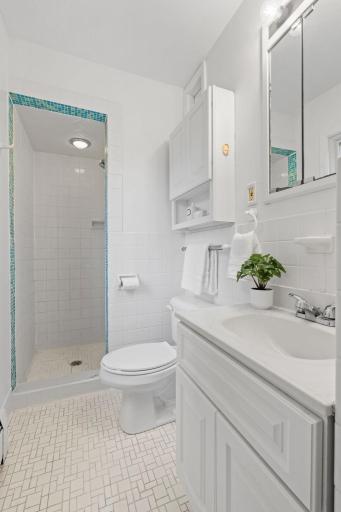 Primary bathroom with walk-in tile shower