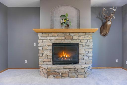 5450 Raven Point Road, Prior Lake, MN 55372