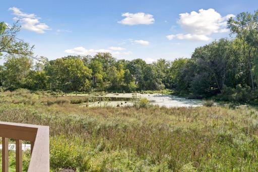 Beautiful backyard pond and natural wetland views offer privacy, wildlife, and changing scenery throughout the seasons.
