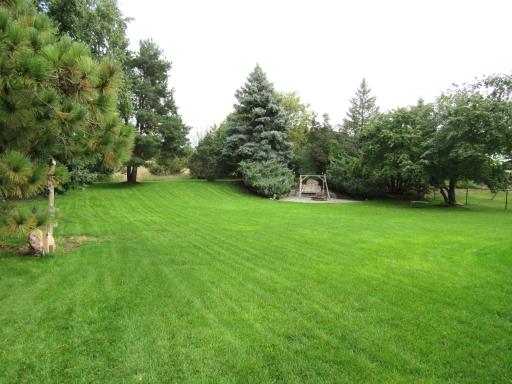 Another view of the expansive yard. All new outdoor lights and GFIs.
