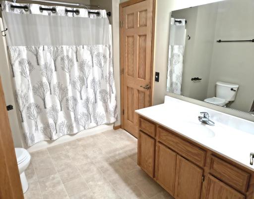 The spacious main bath and nice sized vanity. There is a linen center in the bathroom and in the hall.