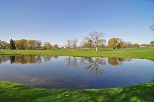 1318 Eleanor Avenue, Saint Paul, MN 55116