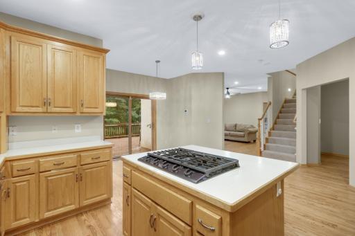 19805 Olde Sturbridge Road, Corcoran, MN 55340