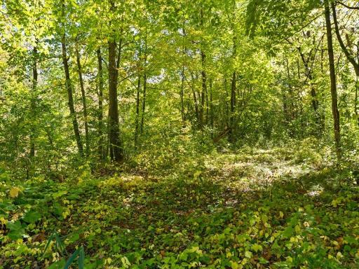 24293 Deerwood Lane, Deerwood, MN 56444