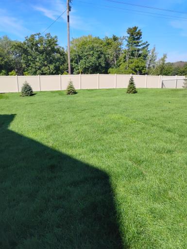 Backyard.jpg