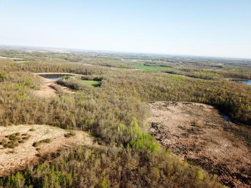 DJI_0007.JPG