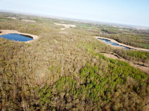 DJI_0046.JPG