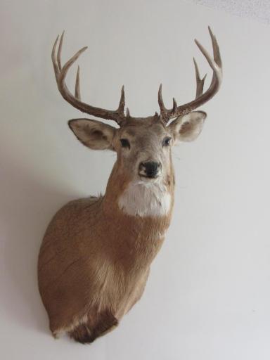 TBD CSAH 39, Waubun, MN 56589