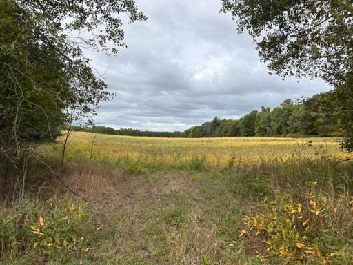 TBD Melody Street, Braham, MN 55006