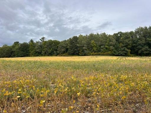 TBD Melody Street, Braham, MN 55006
