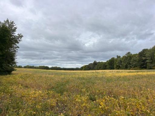 TBD Melody Street, Braham, MN 55006