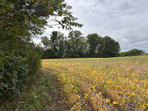 TBD Melody Street, Braham, MN 55006