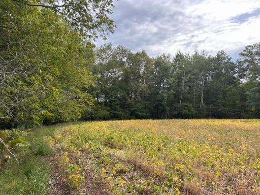 TBD Melody Street, Braham, MN 55006