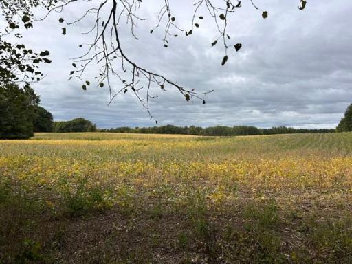 TBD Melody Street, Braham, MN 55006