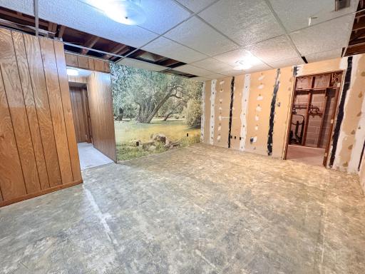LL Unfinished Family Room