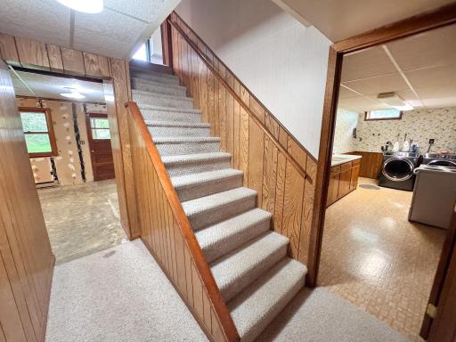 Lower Level Stairs
