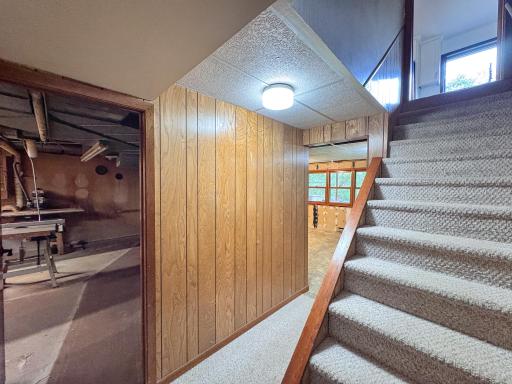 Lower Level Stairs