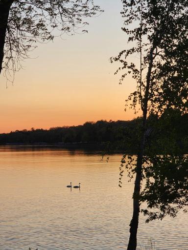 32485 Timberlane Point, Breezy Point, MN 56472