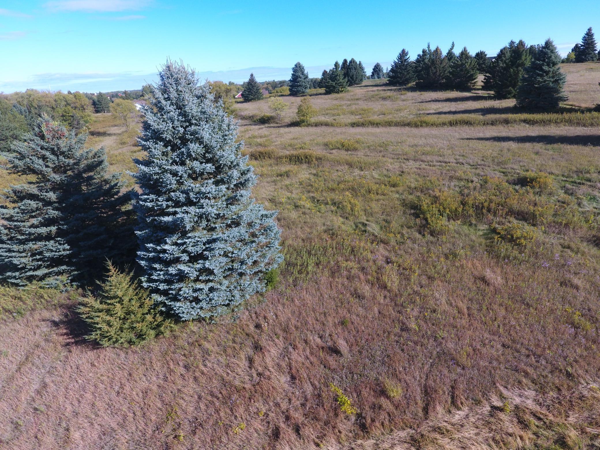 DJI_0075.JPG