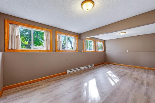 The family room in the basement features vinyl plank flooring.