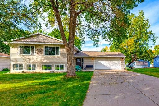 115 E Nelson Street, Litchfield, MN 55355