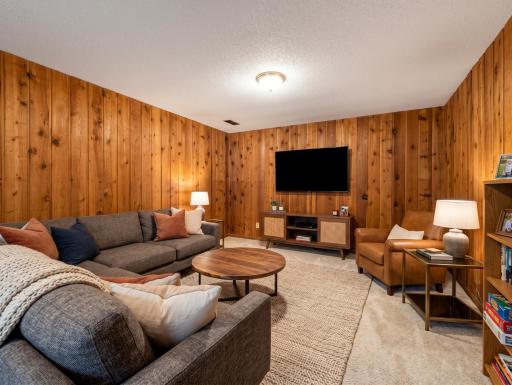 Lower level family room - Virtually Staged