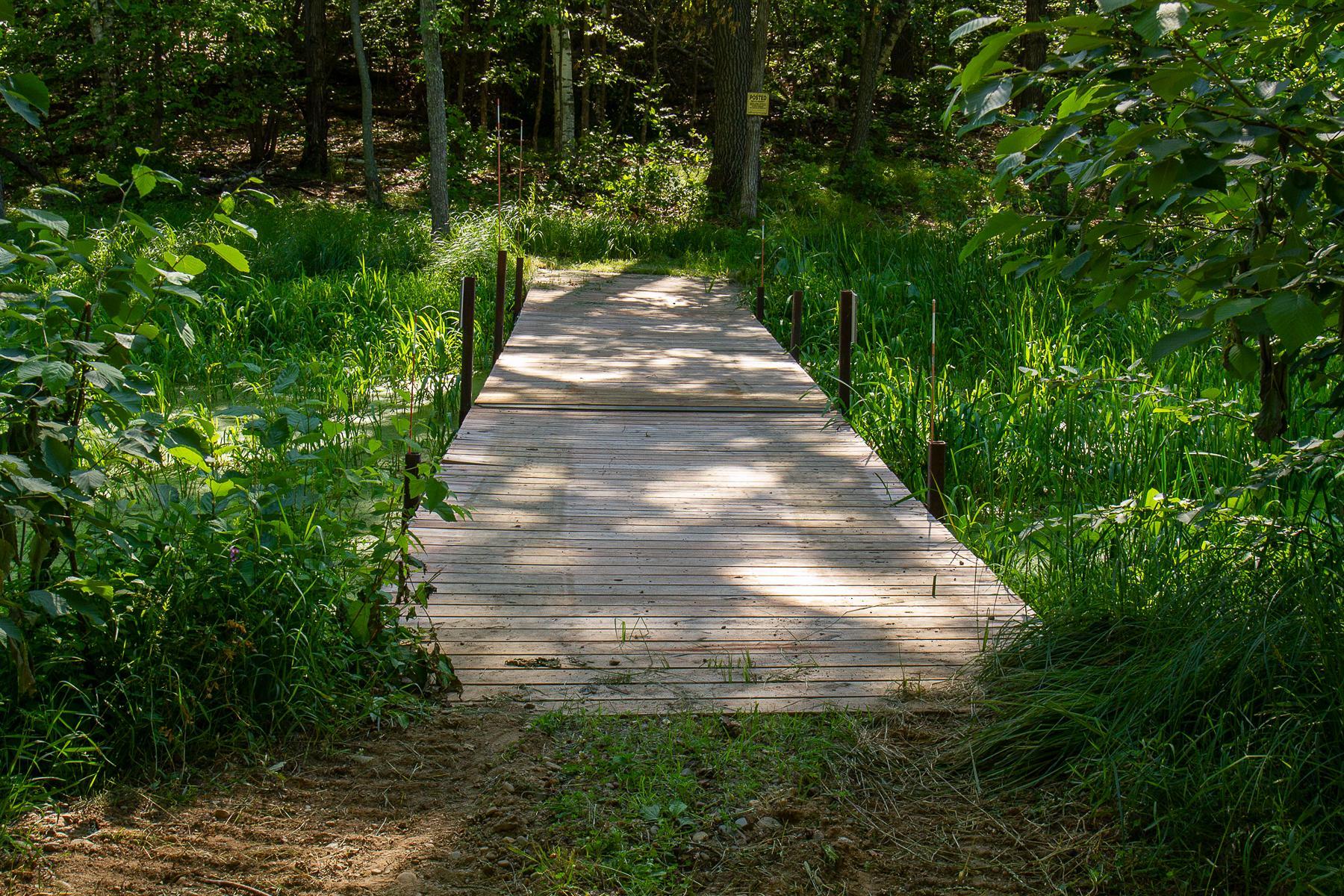 Bridge to island