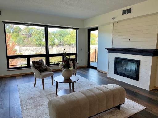 284 Spring Street, 311, Saint Paul, MN 55102