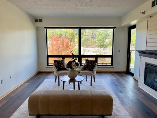 284 Spring Street, 311, Saint Paul, MN 55102