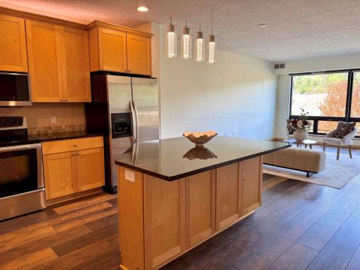 284 Spring Street, 311, Saint Paul, MN 55102