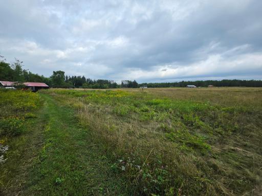 Field1 w Barn.jpg