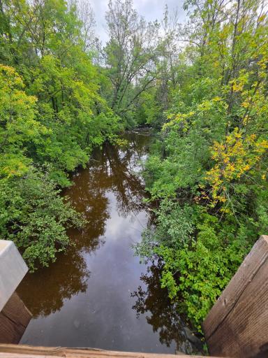 River from Bridge2.jpg