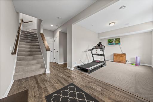 649 Satori Way, Chaska, MN 55318